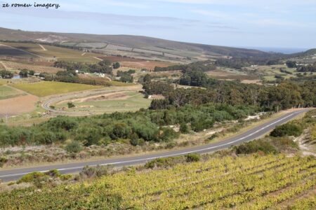 Elgin Wine Region & Wine Farms In Elgin [33]