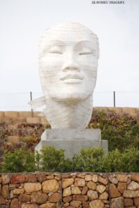 Elgin Wine Region & Wine Farms In Elgin [34]