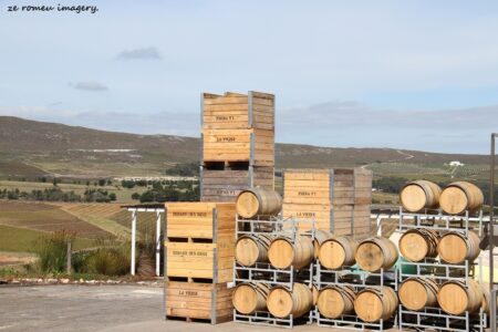 Elgin Wine Region & Wine Farms In Elgin [36]