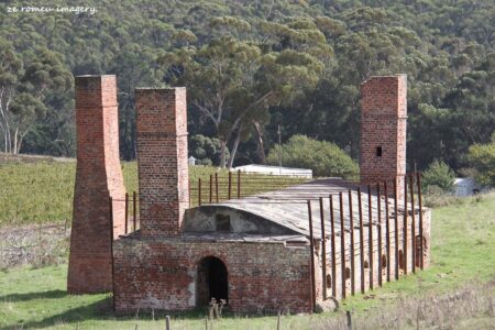 Elgin Wine Region & Wine Farms In Elgin [5]