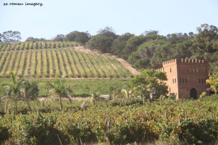 Fort Simon Wine Farm [1], Stellenbosch