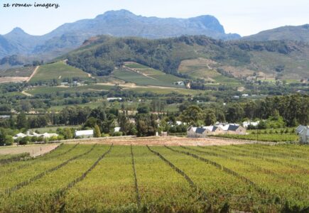 Franschoek Vineyards