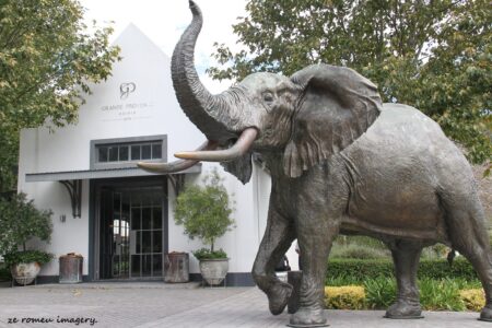 Grande Provence Heritage Wine Estate, Franschhoek [3]