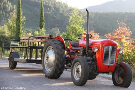Grande Provence Wine Estate Tractor During Harvest Time