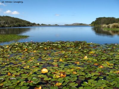 Hiking Tours in various parts of the Western Cape [1]