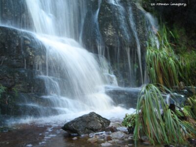 Hiking Tours in various parts of the Western Cape [11]