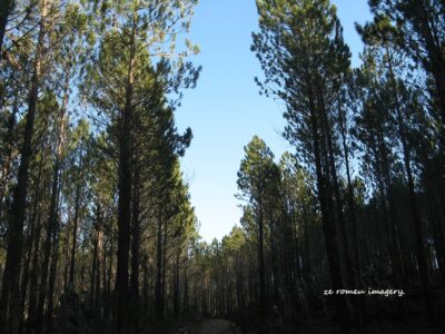 Hiking Tours in various parts of the Western Cape [13]