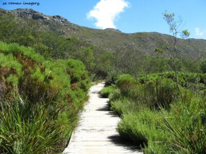 Hiking Tours in various parts of the Western Cape [15]