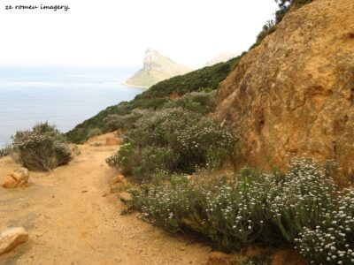 Hiking Tours in various parts of the Western Cape [16]
