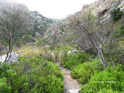 Hiking Tours in various parts of the Western Cape [19]