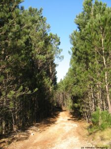 Hiking Tours in various parts of the Western Cape [2]