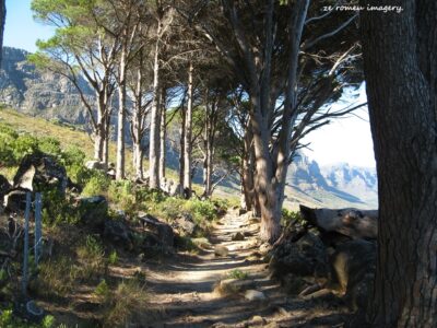 Hiking Tours in various parts of the Western Cape [20]