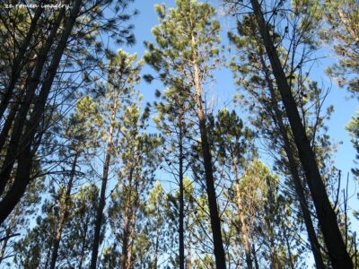 Hiking Tours in various parts of the Western Cape [22]