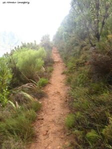 Hiking Tours in various parts of the Western Cape [25]