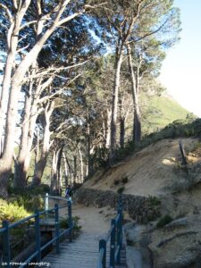 Hiking Tours in various parts of the Western Cape [26]