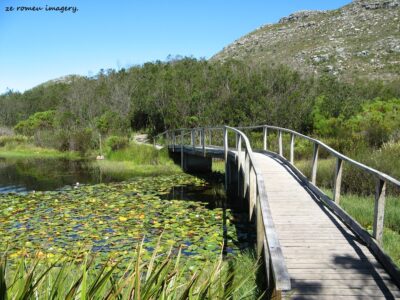 Hiking Tours in various parts of the Western Cape [28]