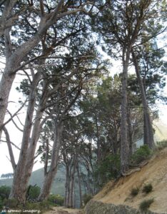 Hiking Tours in various parts of the Western Cape [29]