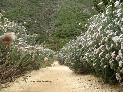 Hiking Tours in various parts of the Western Cape [3]