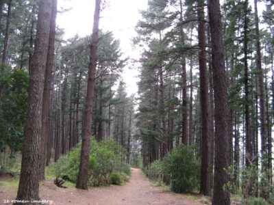 Hiking Tours in various parts of the Western Cape [30]