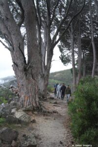 Hiking Tours in various parts of the Western Cape [31]