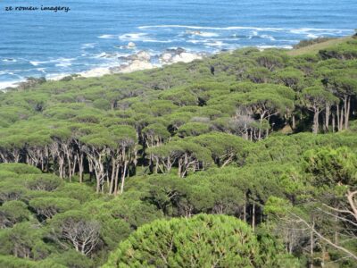 Hiking Tours in various parts of the Western Cape [33]