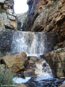 Hiking Tours in various parts of the Western Cape [36]
