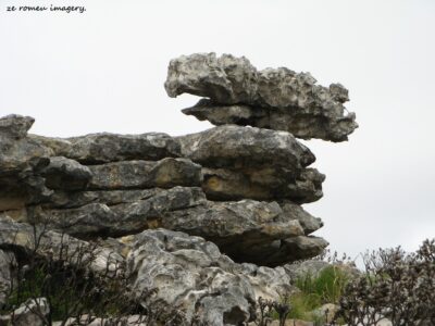 Hiking Tours in various parts of the Western Cape [38]