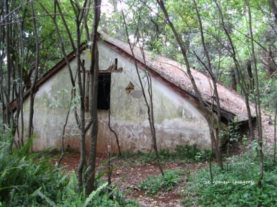 Hiking Tours in various parts of the Western Cape [40]