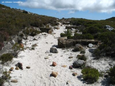 Hiking Tours in various parts of the Western Cape [41]