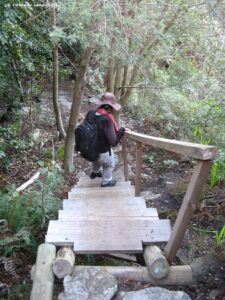 Hiking Tours in various parts of the Western Cape [46]