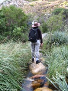 Hiking Tours in various parts of the Western Cape [6]