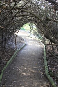 Intaka Island Walking Tour [3]