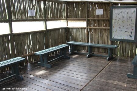 Intaka Island Walking Tour [5]