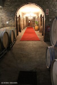 Kano Wines [3], Stellenbosch