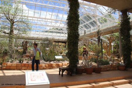 Kirstenbosch National Botanical Gardens Tour Gallery [10]