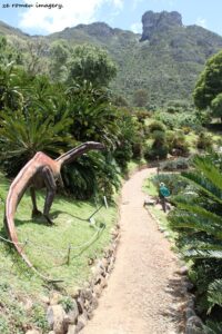 Kirstenbosch National Botanical Gardens Tour Gallery [12]