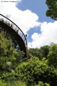 Kirstenbosch National Botanical Gardens Tour Gallery [14]