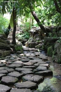 Kirstenbosch National Botanical Gardens Tour Gallery [15]