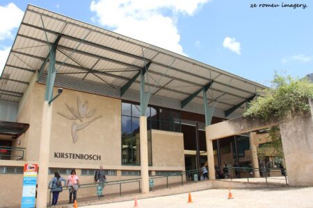 Kirstenbosch National Botanical Gardens Tour Gallery [3]