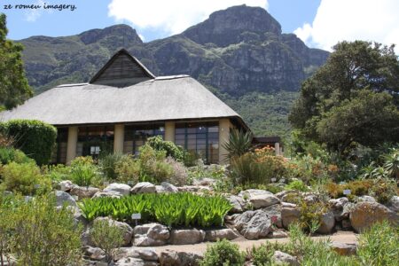 Kirstenbosch National Botanical Gardens Tour Gallery [7]