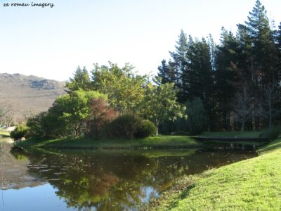 La croix du sud Franschoek Image #3