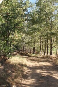 Marklew & Warwick Wine Farms [1]