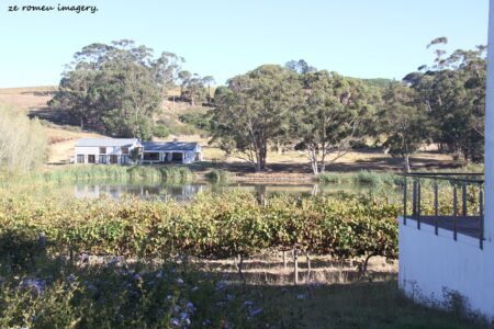 Marklew & Warwick Wine Farms [12]