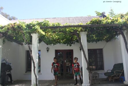 Marklew & Warwick Wine Farms [27]