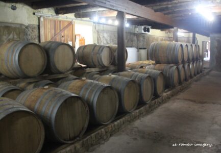 Marklew & Warwick Wine Farms [28]