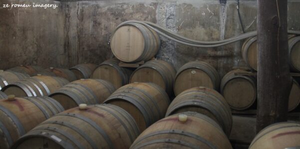 Marklew & Warwick Wine Farms [31]
