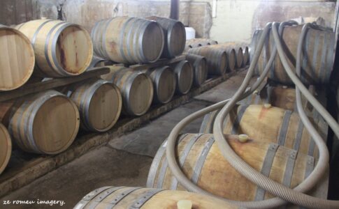 Marklew & Warwick Wine Farms [33]