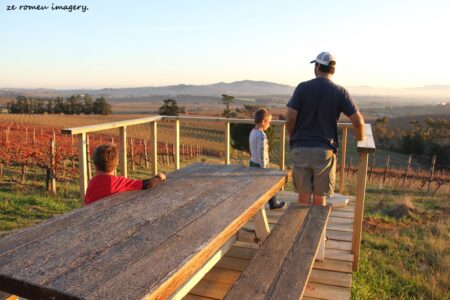 Marklew & Warwick Wine Farms [37]