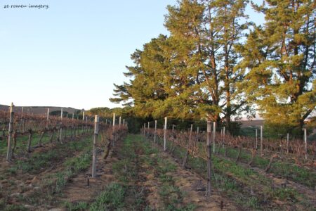 Marklew & Warwick Wine Farms [8]