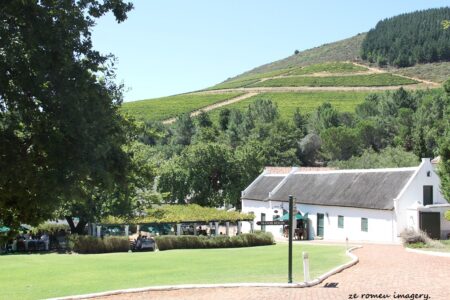 Morgenhof Wine Estate [2], Stellenbosch